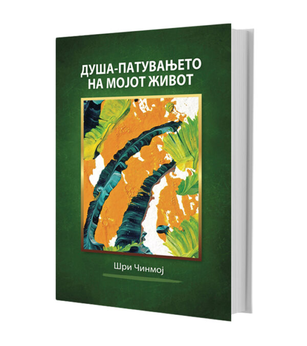 Душа-патувањето на мојот живот